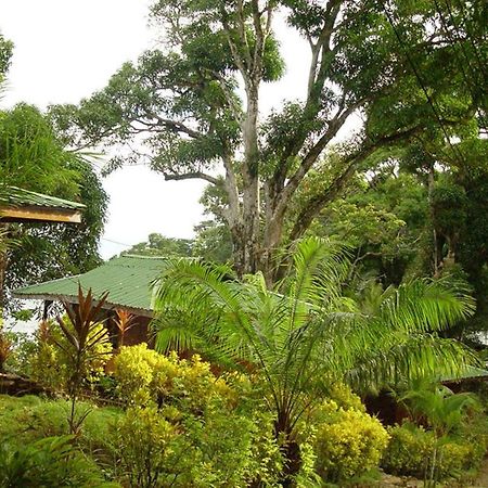 Cabinas La Parcela Villa Dominical Kültér fotó