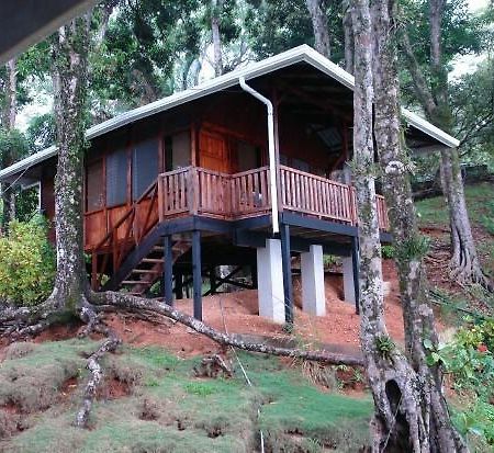 Cabinas La Parcela Villa Dominical Kültér fotó