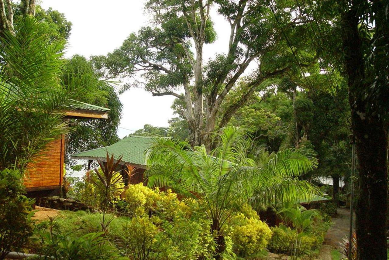 Cabinas La Parcela Villa Dominical Kültér fotó