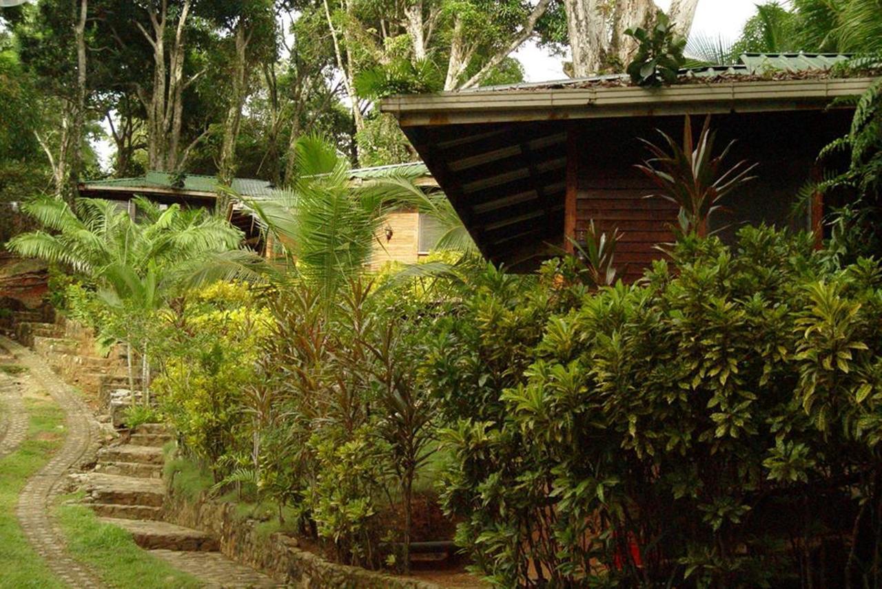 Cabinas La Parcela Villa Dominical Kültér fotó